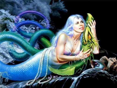 1190271623 167 FT45965 Rowen 19 