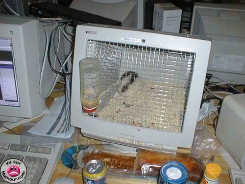 1190711345 229 FT17947 Recycle Your Pc 08